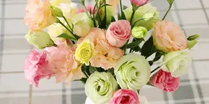 百货 50 条，京东超值商品推荐 1215