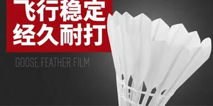 迪科斯 耐打羽毛球 3只装  4.3元包邮