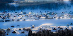 [博海拾贝1201]脱产新文化人又在整活了