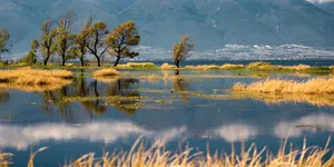 [博海拾贝1216]都是体面人