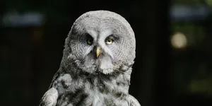 长期主义是最毒的鸡汤，没有之一