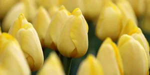 人生就是对喜欢的东西不断祛魅的过程