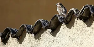 小区这种东西，是需要付出很大成本才能努力对抗折旧的