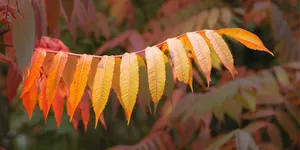 微语录精选1121：千问这名字比通义好