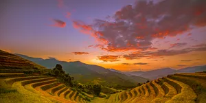 微语录精选1114：60 后体制内的人生最棒