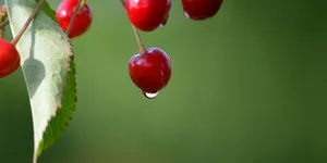 段永平怎么看AI？用 AI 总结下