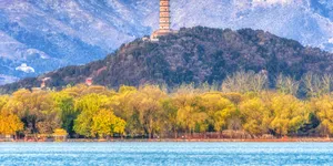 [博海拾贝1123]面包师傅正在欣赏自己最满意的作品