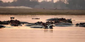 微语录精选1124：时代的弄潮儿