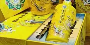 “特朗普新生儿投资账户”项目是啥