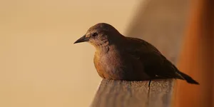 用自己的方式走出阴霾，本身就是一种胜利