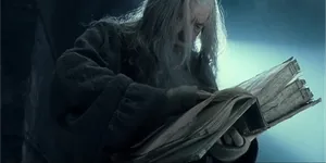 世间再无周金涛