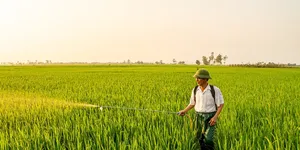 团播的商业模式，不就是广义崩老头框架吗？