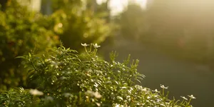 币圈赌狗的自述