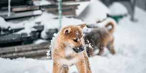 不只是数字，还是一段段被改写的人生啊