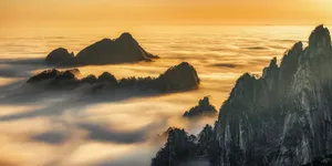 [博海拾贝1204]猫咪奴役人类实录