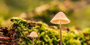 这个世界，真的永远是一个看脸的世界