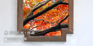 [博海拾贝1207]肚皮舞当然是有肚子才好看