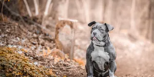 瘦不下来很多时候与自律无关，与意志无关，只是大家都太辛苦了而已