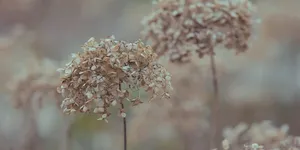 投资领域的人如果看起来什么都懂，大概率是什么都不懂