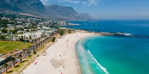 一个有点悲惨的瓜…