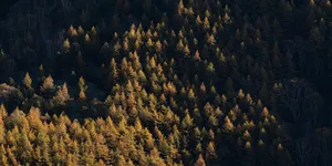 2017年7月，陆奇宣布了百度的一项新战略： All in AI