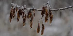 为什么别人一眼就知道你是个老实人呢？