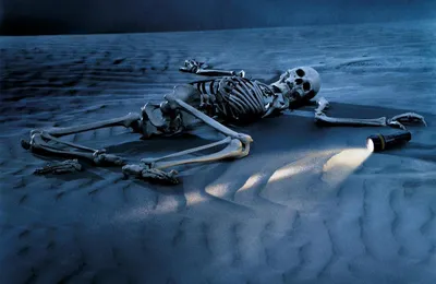 金霸王电池平面广告