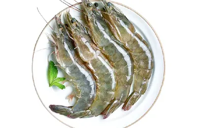 百货 50 条，京东超值商品推荐 0813