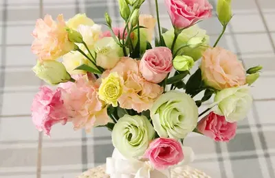 百货 50 条，京东超值商品推荐 1215