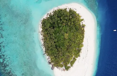跟着这种级别的大佬身边，很难有施展的空间