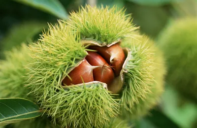 这个反应能力和口才太牛了