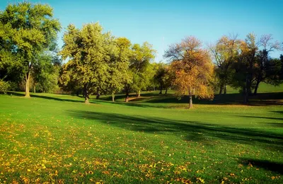 当赚钱不容易的时候，不少人就会有戾气了