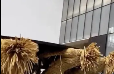 草台班子顶个球