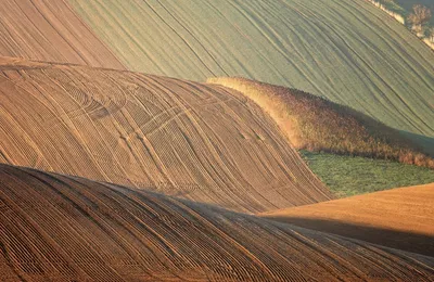 微语录精选0201：制造业真的是很无语