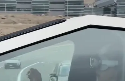 这应该是 “赛博巅峰”