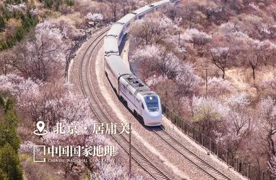 [博海拾贝0311]万紫千红总是春