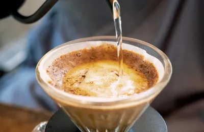 微语录精选0415：破产靠敢赌