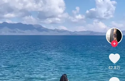 没人想看刘亦菲在《玫瑰的故事》里谈恋爱