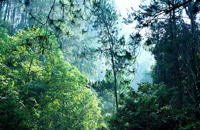 肯尼迪家族的有一个分支剧情，就是古巴战士