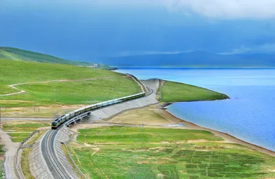 [博海拾贝0801]我就说猫和老鼠是纪录片吧 ​​​