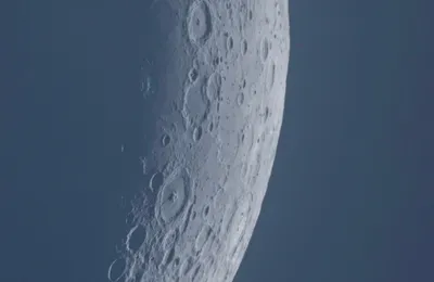 [博海拾贝0813]双鸡出动