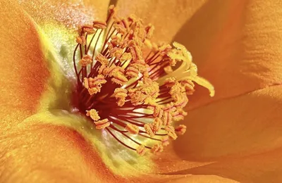 历史的进程罢了