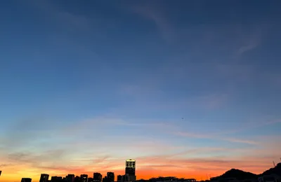 微语录精选1024：那俩镇墓兽又来了
