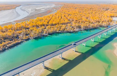 [博海拾贝1031]好大的手机