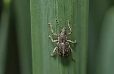 老老实实、服服帖帖生孩子……