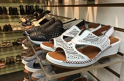 我嫂子买了双保健鞋，好几百块钱，说是治病，高血压高血糖