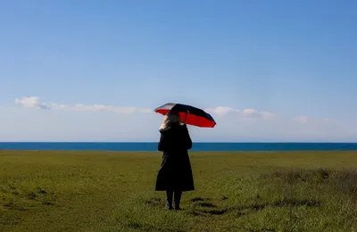 恋爱脑马春花之死：一场难以避免的中产阶层坠落