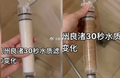 这个滤芯质量蛮好的