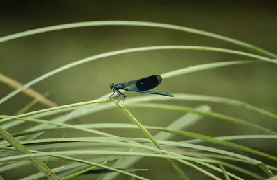 模仿翻车现场