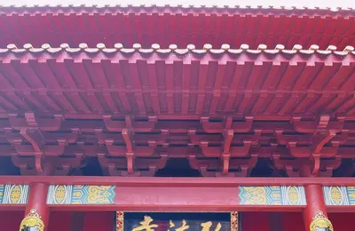 深圳最有名的寺庙是弘法寺，可以申请做义工
